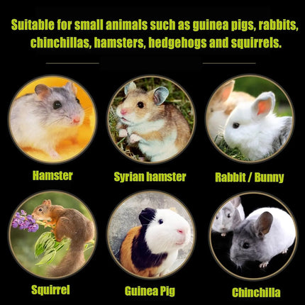 Konijnen Grasmat Set | Natuurlijk Geweven | Veilig Speelgoed Kleine Dieren | 5 Stuks | icobbler