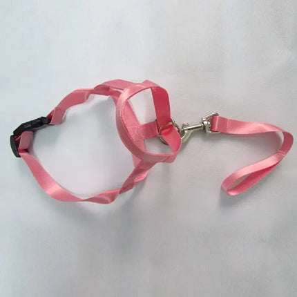 QuietFit Nylon Hondenmuilband | Verstelbaar en Comfortabel | Beschikbaar in Meerdere Kleuren en Maten S tot 2XL