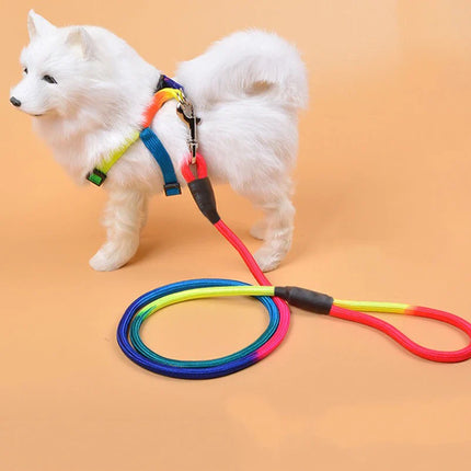 Nylon Hondenriem | Duurzaam en Lichtgewicht | Comfortabel Handvat | Heldere Kleuren | Geschikt voor Kleine en Middelgrote Puppy's | Ideaal voor Dagelijks Gebruik en Reizen