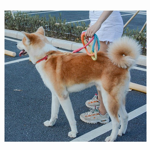 Gevlochten Touw Hondenlijn | Kleurverloop | Ergonomische Grip | Sterke Clips | 2,1 Meter | Meerkleurig