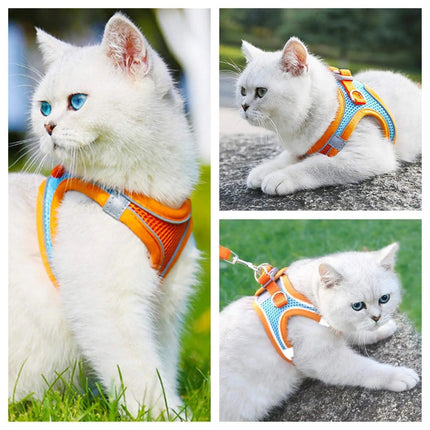 SafePaws™ Comfortabel Katten Harnas | Ontsnappingsbestendig | Zacht Katoen | Verstelbare Bandjes | Veilig voor Buitenavonturen
