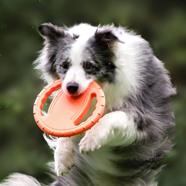 Duurzame Speel Frisbee | Rubber | Aerodynamisch Ontwerp | Zacht voor Tanden | Voor Apporteerspelletjes | Geschikt voor Binnen en Buiten