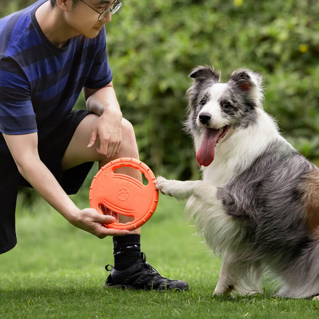 Duurzame Speel Frisbee | Rubber | Aerodynamisch Ontwerp | Zacht voor Tanden | Voor Apporteerspelletjes | Geschikt voor Binnen en Buiten