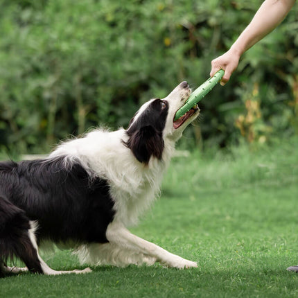 Duurzame Speel Frisbee | Rubber | Aerodynamisch Ontwerp | Zacht voor Tanden | Voor Apporteerspelletjes | Geschikt voor Binnen en Buiten