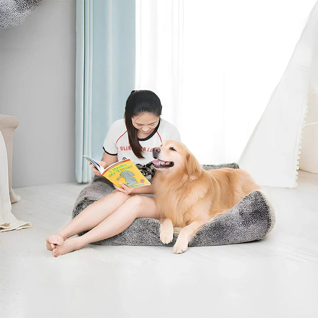 TailHaven Pet Sofa | Elegante divano per cani con finiture di lusso