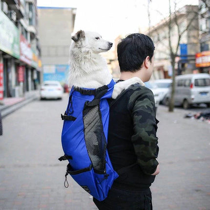 TrailMate honden rugzak | Comfortabele honden draagtas voor buitenactiviteiten | Geschikt voor kleine tot middelgrote honden | Ademend & stevig | Veilig wandelen en avontuur samen