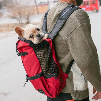TrailMate honden rugzak | Comfortabele honden draagtas voor buitenactiviteiten | Geschikt voor kleine tot middelgrote honden | Ademend & stevig | Veilig wandelen en avontuur samen