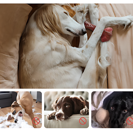 Rubberen Kauwspeeltje voor Honden | Tandenborstelfunctie | Met Traktatiehouder | Voor Schone Tanden en Gezond Tandvlees | Rood | 15 cm