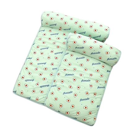 Chill Zone │ Zelfkoelend Kussen voor Honden │ Pluche Ondersteuning │ Lichtgewicht en Draagbaar │ Roze, Groen, Blauw │ Verschillende Maten