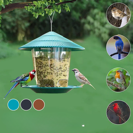 Garden bird feeder | Stainless steel | Automatic seed dispenser | Unique hexagonal design | Suitable for garden balconies | Weatherproof and easy to install | Large seed capacity