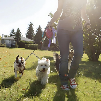 Stainless Steel Double-Barrel Dog Leash | Anti-Tangle | 150 cm | Suitable for Large and Small Dogs
