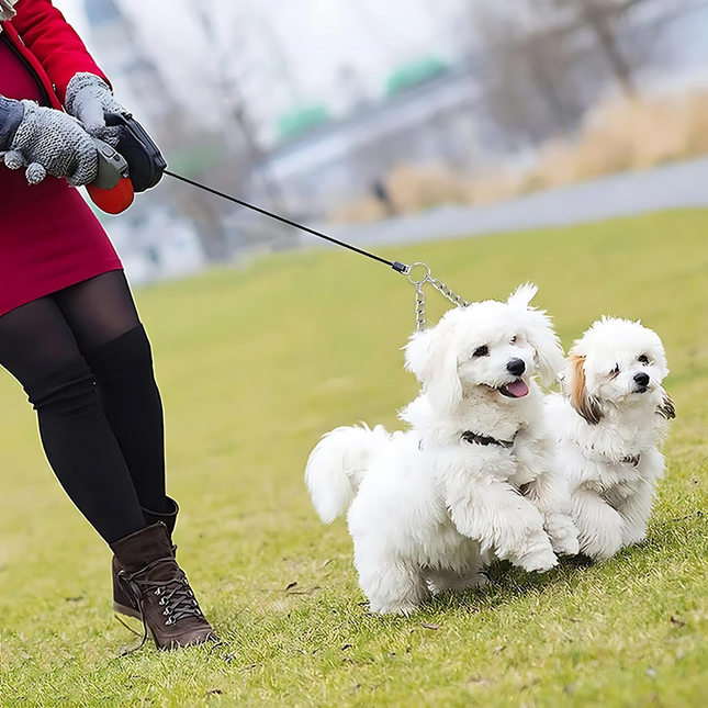 Stainless Steel Double-Barrel Dog Leash | Anti-Tangle | 150 cm | Suitable for Large and Small Dogs