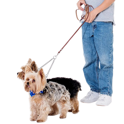 Stainless Steel Double-Barrel Dog Leash | Anti-Tangle | 150 cm | Suitable for Large and Small Dogs