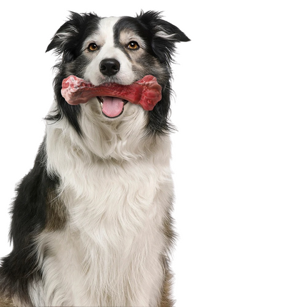 Rubberen Kauwspeeltje voor Honden | Tandenborstelfunctie | Met Traktatiehouder | Voor Schone Tanden en Gezond Tandvlees | Rood | 15 cm