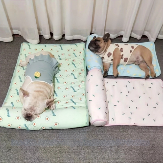 Chill Zone │ Zelfkoelend Kussen voor Honden │ Pluche Ondersteuning │ Lichtgewicht en Draagbaar │ Roze, Groen, Blauw │ Verschillende Maten