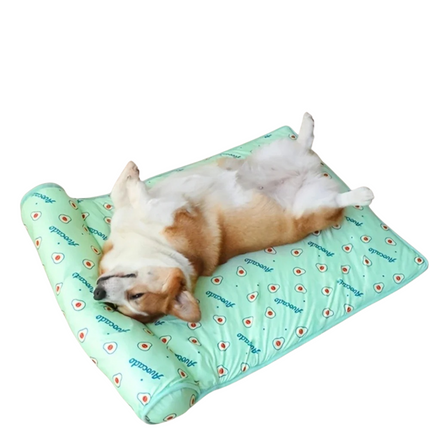 Chill Zone │ Zelfkoelend Kussen voor Honden │ Pluche Ondersteuning │ Lichtgewicht en Draagbaar │ Roze, Groen, Blauw │ Verschillende Maten