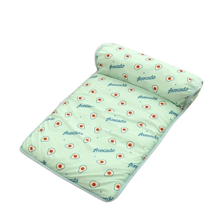 Chill Zone │ Zelfkoelend Kussen voor Honden │ Pluche Ondersteuning │ Lichtgewicht en Draagbaar │ Roze, Groen, Blauw │ Verschillende Maten