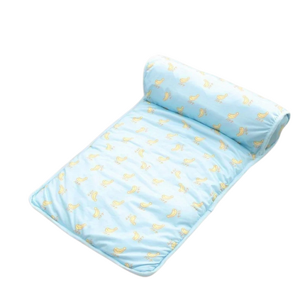 Chill Zone │ Zelfkoelend Kussen voor Honden │ Pluche Ondersteuning │ Lichtgewicht en Draagbaar │ Roze, Groen, Blauw │ Verschillende Maten