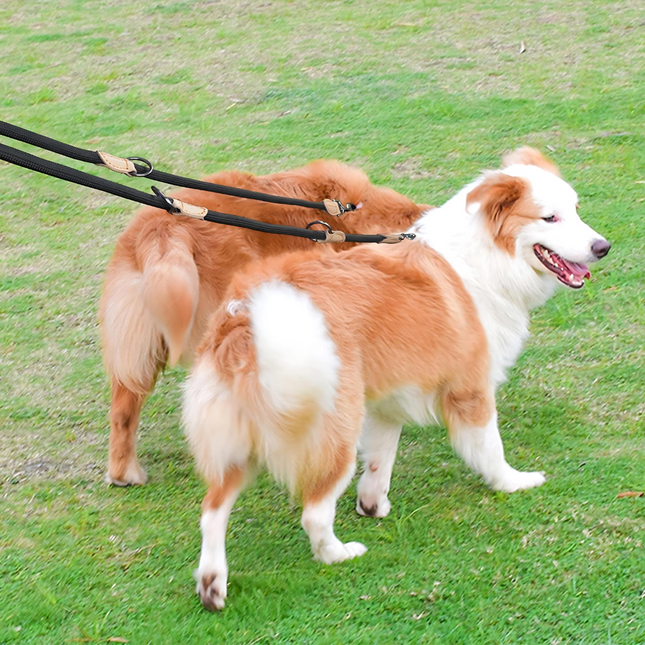 Hands-Free Nylon Riem | Verstelbare Dubbele Riem voor Honden | Antiklitontwerp | Comfortabele Grip voor Grote Honden | Ideaal voor Wandelen met Twee Honden