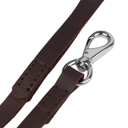 Luxe Leren Riem | Stevig & Duurzaam | Comfortabel Voor Grote Honden | Koffiekleur | 146cm Lang
