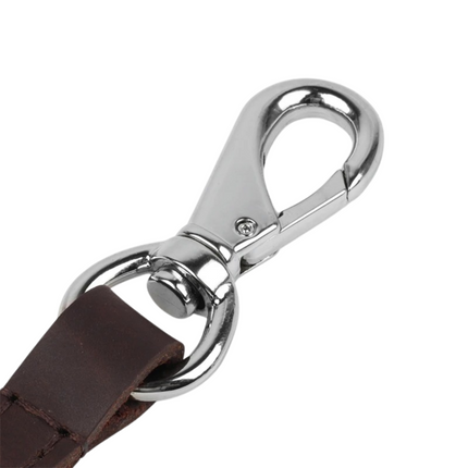 Luxe Leren Riem | Stevig & Duurzaam | Comfortabel Voor Grote Honden | Koffiekleur | 146cm Lang