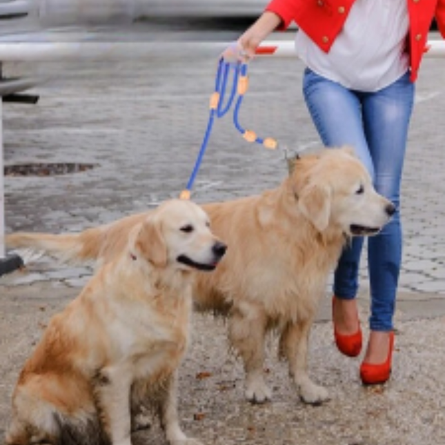 Hands-Free Nylon Riem | Verstelbare Dubbele Riem voor Honden | Antiklitontwerp | Comfortabele Grip voor Grote Honden | Ideaal voor Wandelen met Twee Honden