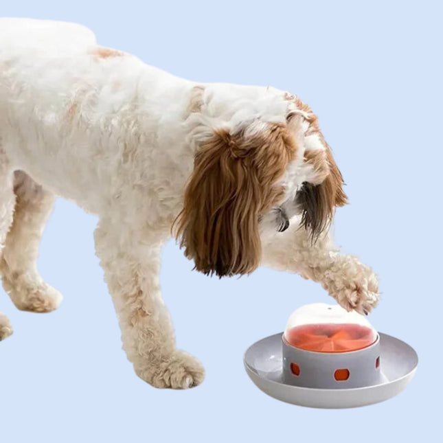 PawMaze interactieve hondenvoerbak | Slowfeeder voor langzamer eten | Mentale stimulatie | Voedselveilig en duurzaam | Geschikt voor alle hondenrassen