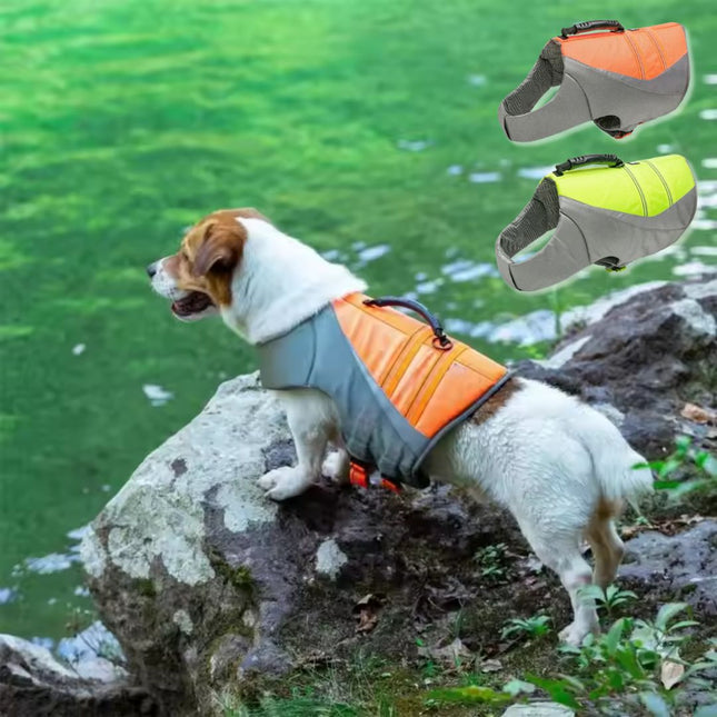FloatBuddy hondenzwemvest | Verstelbaar en veilig zwemvest voor honden | Comfortabel met handgreep en reflecterende strips | Ideaal voor zwemmen en watersport