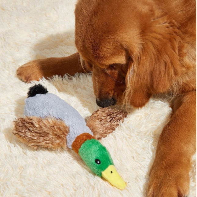 Pluche Eend Kauwspeelgoed voor Honden | Piepende Geluiden | Tandenreiniging | Duurzaam en Veilig | Groen