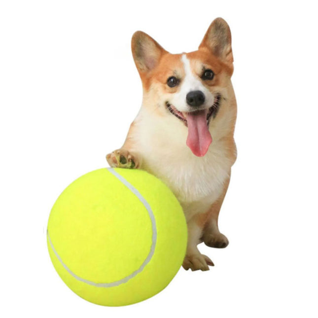 Reuze Interactieve Hondenbal | Duurzaam Veilige Materiaal | Speelgoed Voor Grote en Kleine Honden | Trainingsbal In Diverse Maten