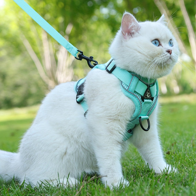 Reflecterend kattenharnas met riem | Ademend mesh materiaal | Verstelbaar ontwerp | Voor training en wandelen | Extra zichtbaarheid in het donker | Geschikt voor alle kattenmaten