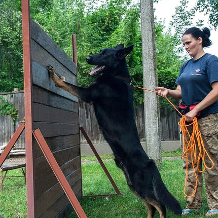 Nylon Training Lijn Voor Honden | Lange Lijn 5M 10M 15M | Ergonomisch Handvat | Diverse Kleuren