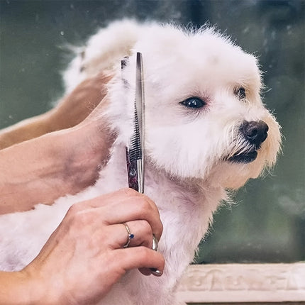 Verzorgingsset huisdieren | 2 roestvrijstalen scharen met ronde punten | Kam inbegrepen | Voor honden en katten | Inclusief opbergetui | Vachtverzorging veilig en eenvoudig