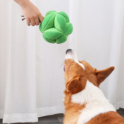 Interactief Snuffelspeelgoed voor Honden | Broccoli Vorm | Mentale Stimulatie | Vertraagt Eten | Duurzaam en Veilig | Makkelijk Schoonmaken | Uitdaging bij Snacktijd | Geschikt voor Alle Hondenmaten