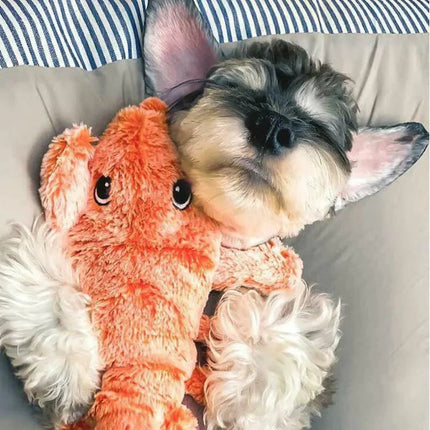 Interactief Speelgoed Kreeft | Mentale Stimulatie voor Honden | Onvoorspelbare Bewegingspatronen | Angstreductie en Lichamelijke Activiteit | Houdt Honden Urenlang Vermaakt | Voorkomt Destructief Kauwen | Piepend Plezier voor Actieve Honden