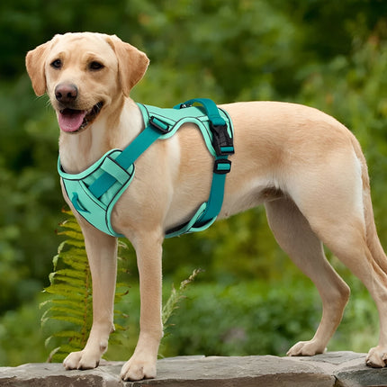 Arnés transpirable para perros | Reflectante | AirLeash | Aventuras de verano | Fresco y seguro | Arnés para perros | Visibilidad