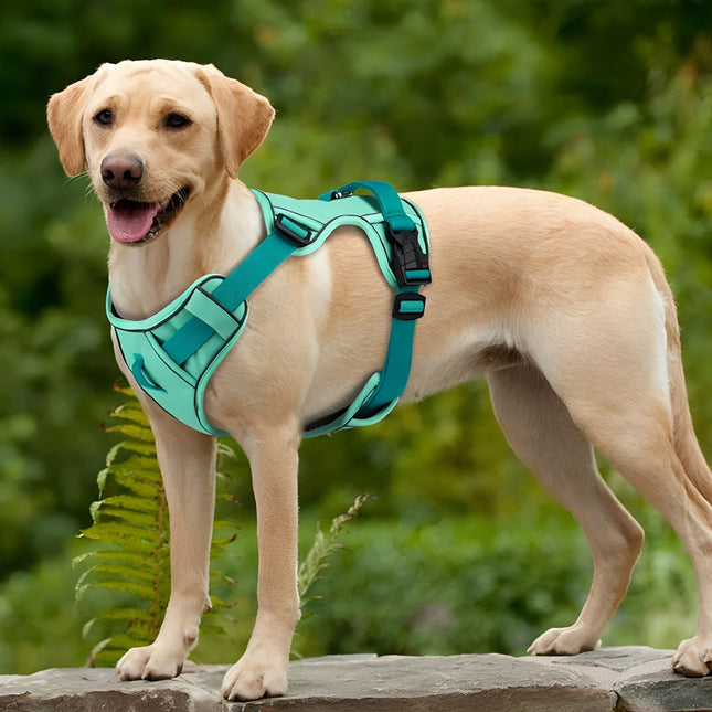 Arnés transpirable para perros | Reflectante | AirLeash | Aventuras de verano | Fresco y seguro | Arnés para perros | Visibilidad