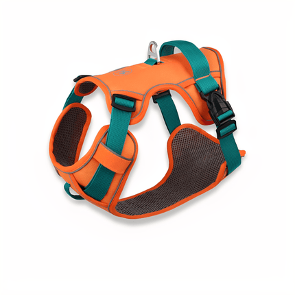 Arnés transpirable para perros | Reflectante | AirLeash | Aventuras de verano | Fresco y seguro | Arnés para perros | Visibilidad