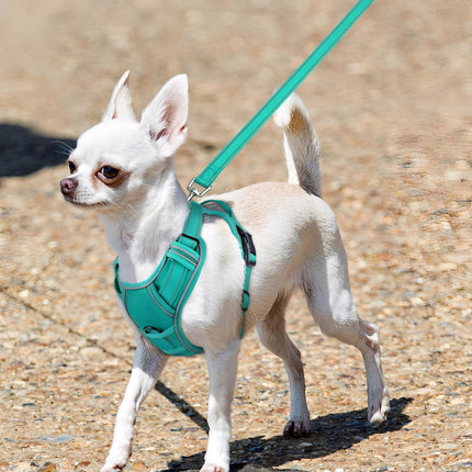 Arnés transpirable para perros | Reflectante | AirLeash | Aventuras de verano | Fresco y seguro | Arnés para perros | Visibilidad