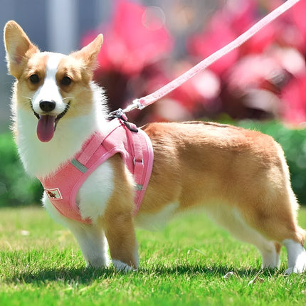 Airluxe | Arnés de terciopelo de lujo para perros | Arnés reflectante transpirable | Diseño fácil de poner | Elegante y cómodo