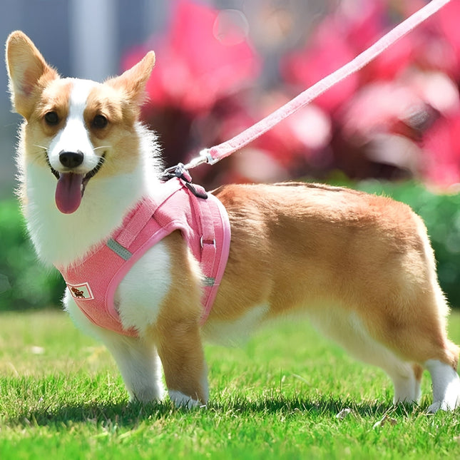 Airluxe | Arnés de terciopelo de lujo para perros | Arnés reflectante transpirable | Diseño fácil de poner | Elegante y cómodo