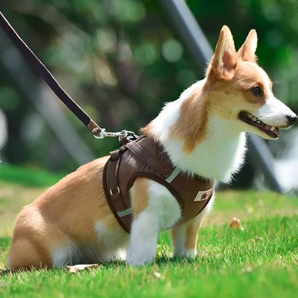 Airluxe | Arnés de terciopelo de lujo para perros | Arnés reflectante transpirable | Diseño fácil de poner | Elegante y cómodo