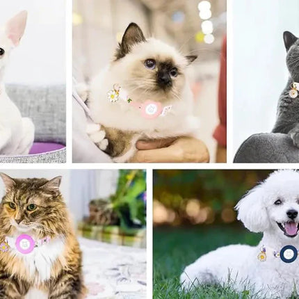 AirTag Kattenhalsband – Veilig, Breakaway & Met Belletje