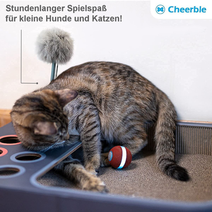 Cheerble® Interactieve Bal 2.0 | Slim Speelgoed met 360° Sensoren voor Katten en Kleine Honden | USB-oplaadbaar | 4 Uur Plezier