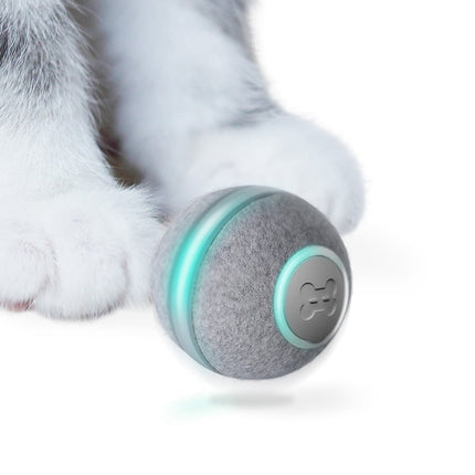 Cheerble® Interactieve Bal 2.0 | Slim Speelgoed met 360° Sensoren voor Katten en Kleine Honden | USB-oplaadbaar | 4 Uur Plezier