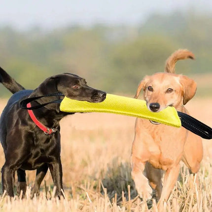 Duurzaam Kauwspeelgoed voor Honden | Bijtvast en Non-Toxisch | Perfect voor Apporteren en Touwtrekken | Verbeterd voor Tandgezondheid | Ideaal voor Binnen en Buiten | Gemaakt van Hoogwaardige Materialen | Lichtgewicht en Draagbaar