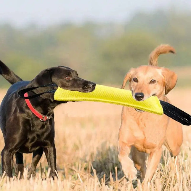 Duurzaam Kauwspeelgoed voor Honden | Bijtvast en Non-Toxisch | Perfect voor Apporteren en Touwtrekken | Verbeterd voor Tandgezondheid | Ideaal voor Binnen en Buiten | Gemaakt van Hoogwaardige Materialen | Lichtgewicht en Draagbaar