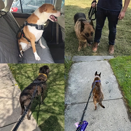 Verstelbare bungee hondenriem | Schokabsorberend nylon | Reflecterende stiksels | Gevoerde handgrepen | 125-190 cm lang | Geschikt voor grote honden