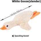 Witte gans