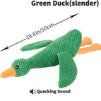 Groene eend